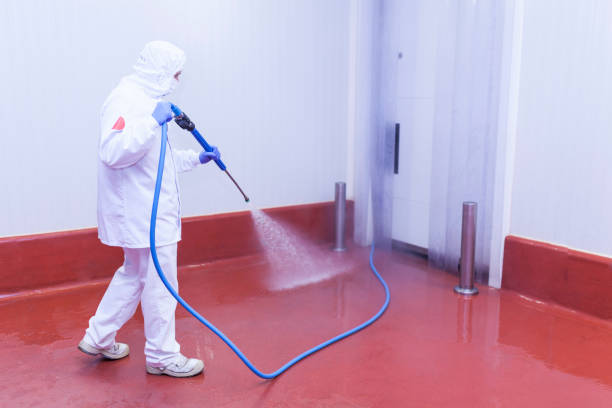 Pre-Holiday Cleaning in Aubrey, TX